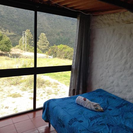 Hospedaje Y Camping Del Rio 몬구이 외부 사진