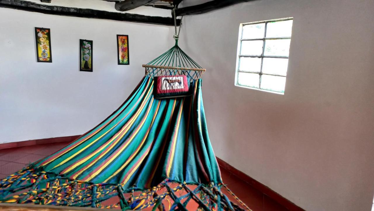 Hospedaje Y Camping Del Rio 몬구이 외부 사진