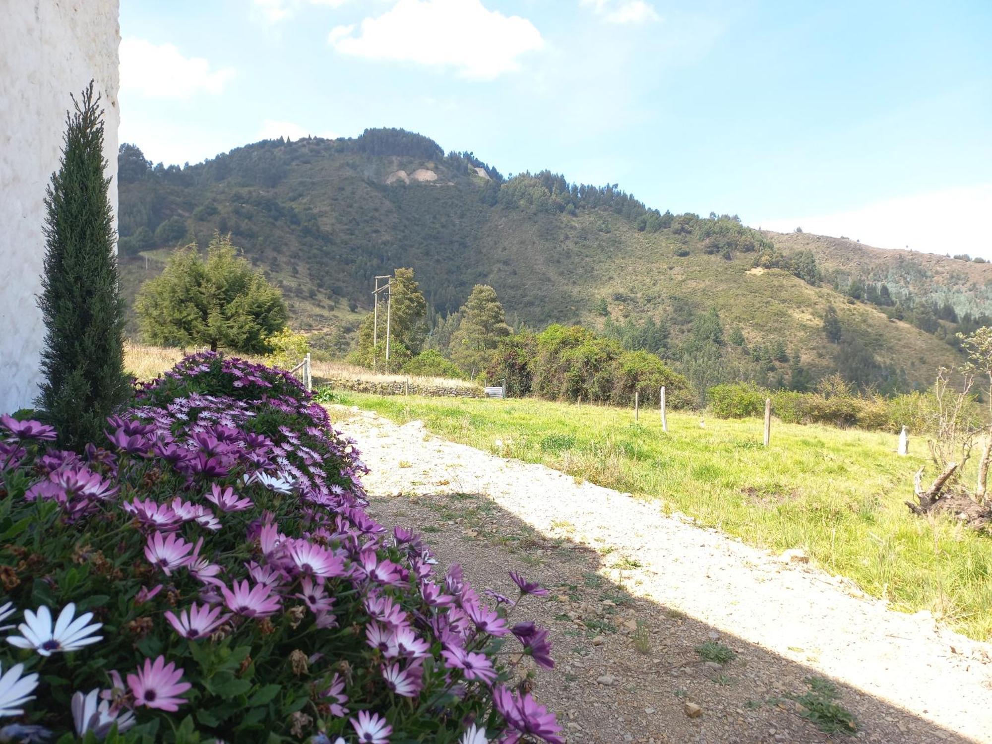 Hospedaje Y Camping Del Rio 몬구이 외부 사진