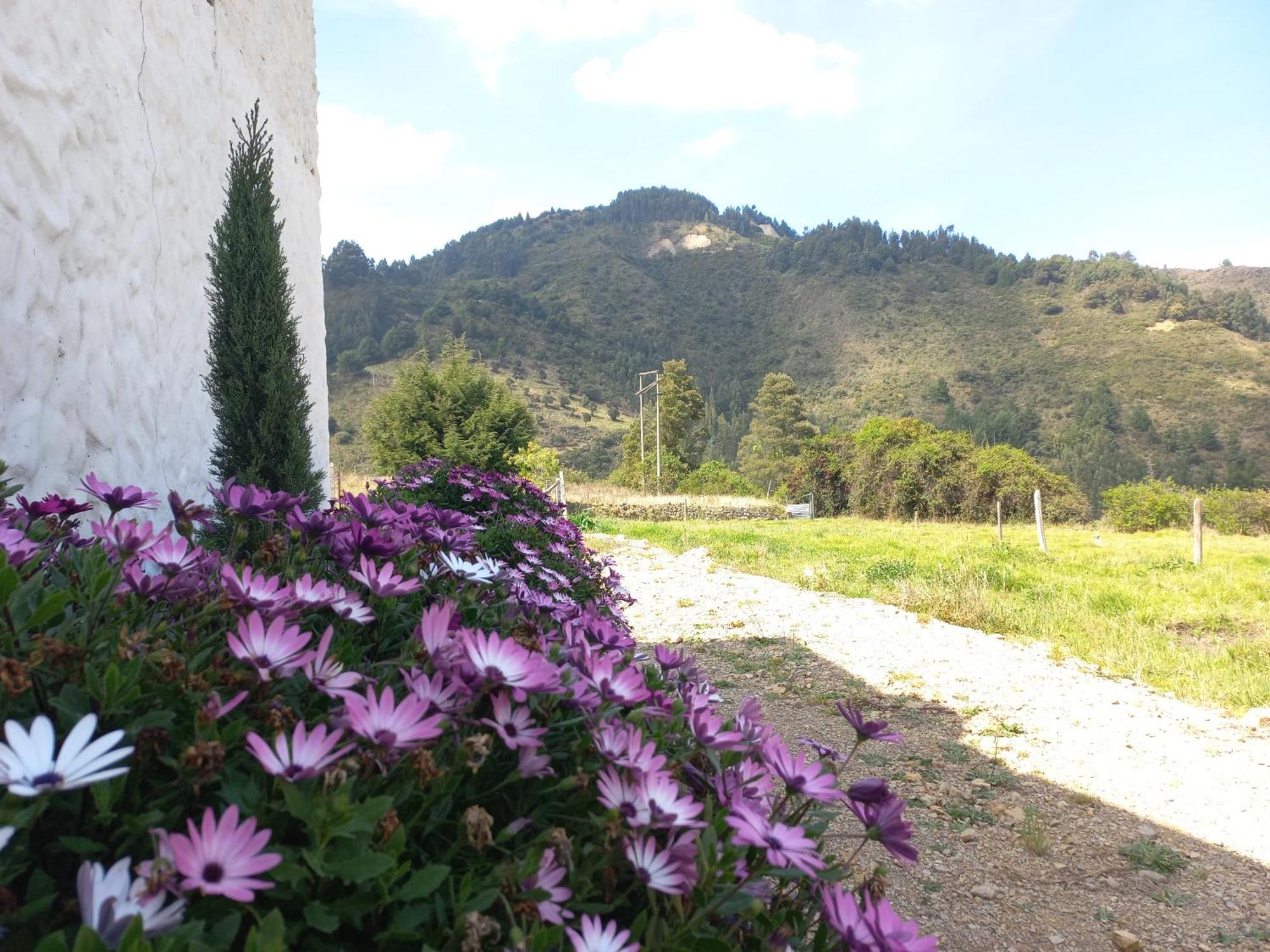 Hospedaje Y Camping Del Rio 몬구이 외부 사진
