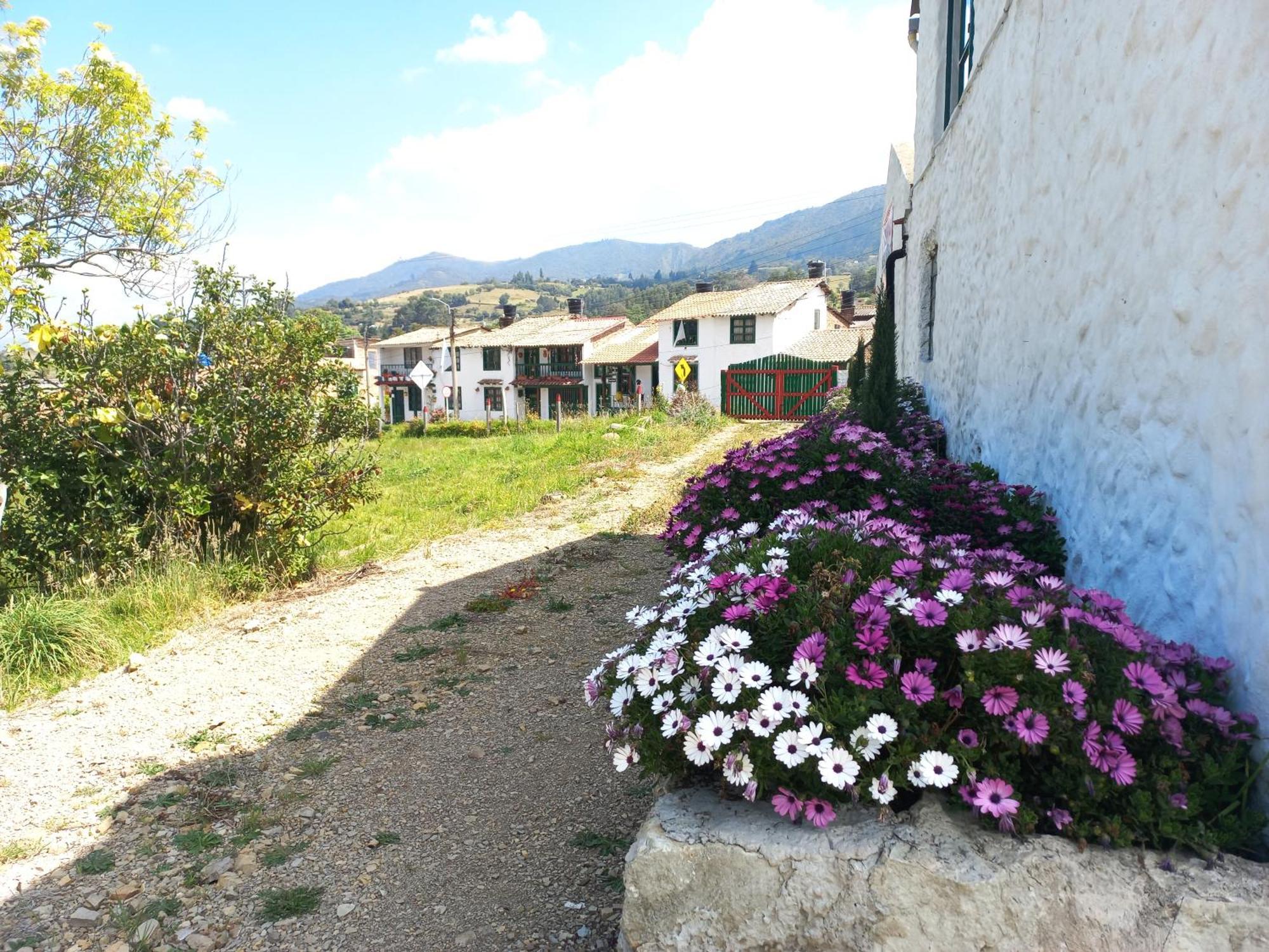 Hospedaje Y Camping Del Rio 몬구이 외부 사진