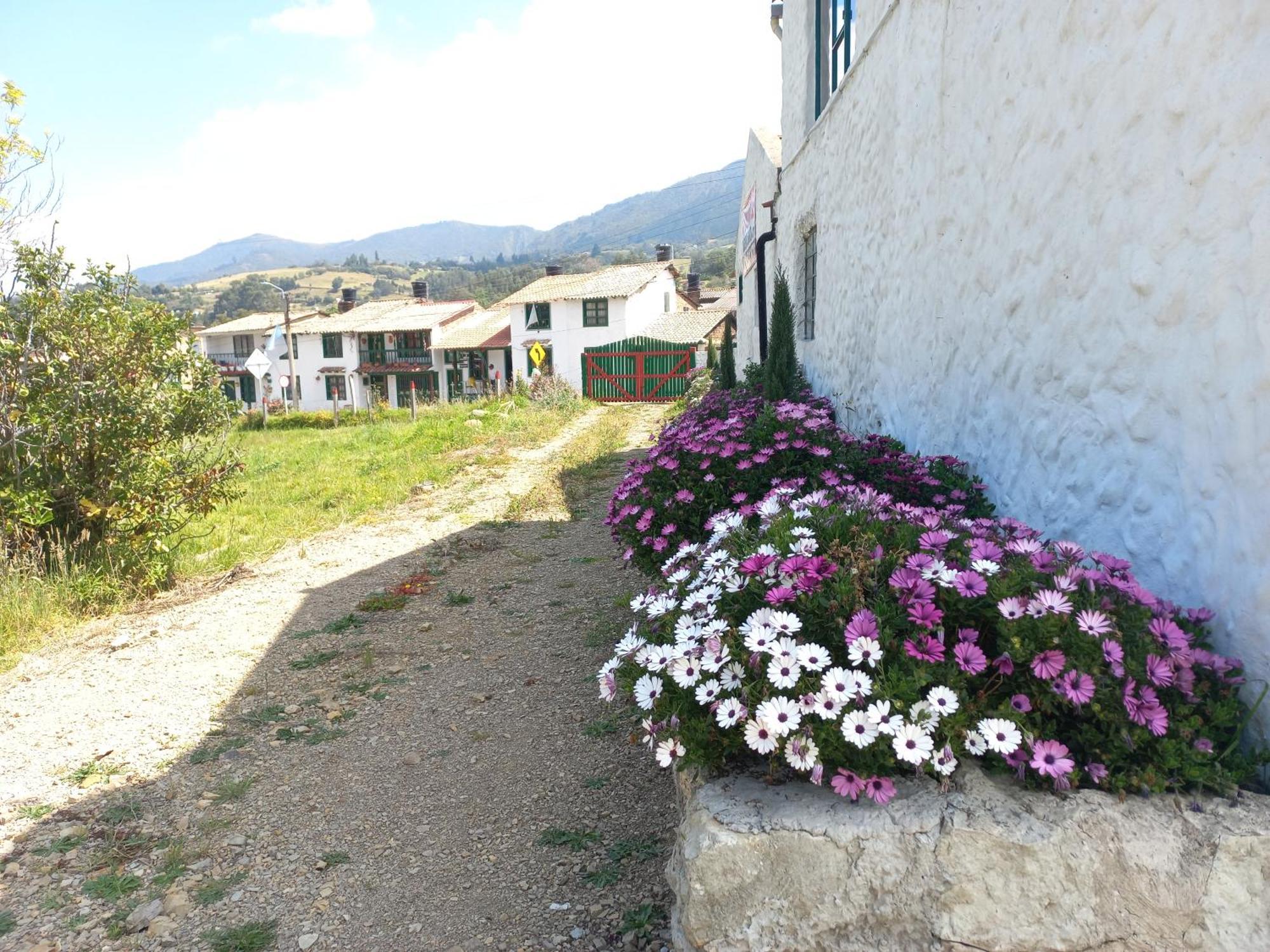 Hospedaje Y Camping Del Rio 몬구이 외부 사진