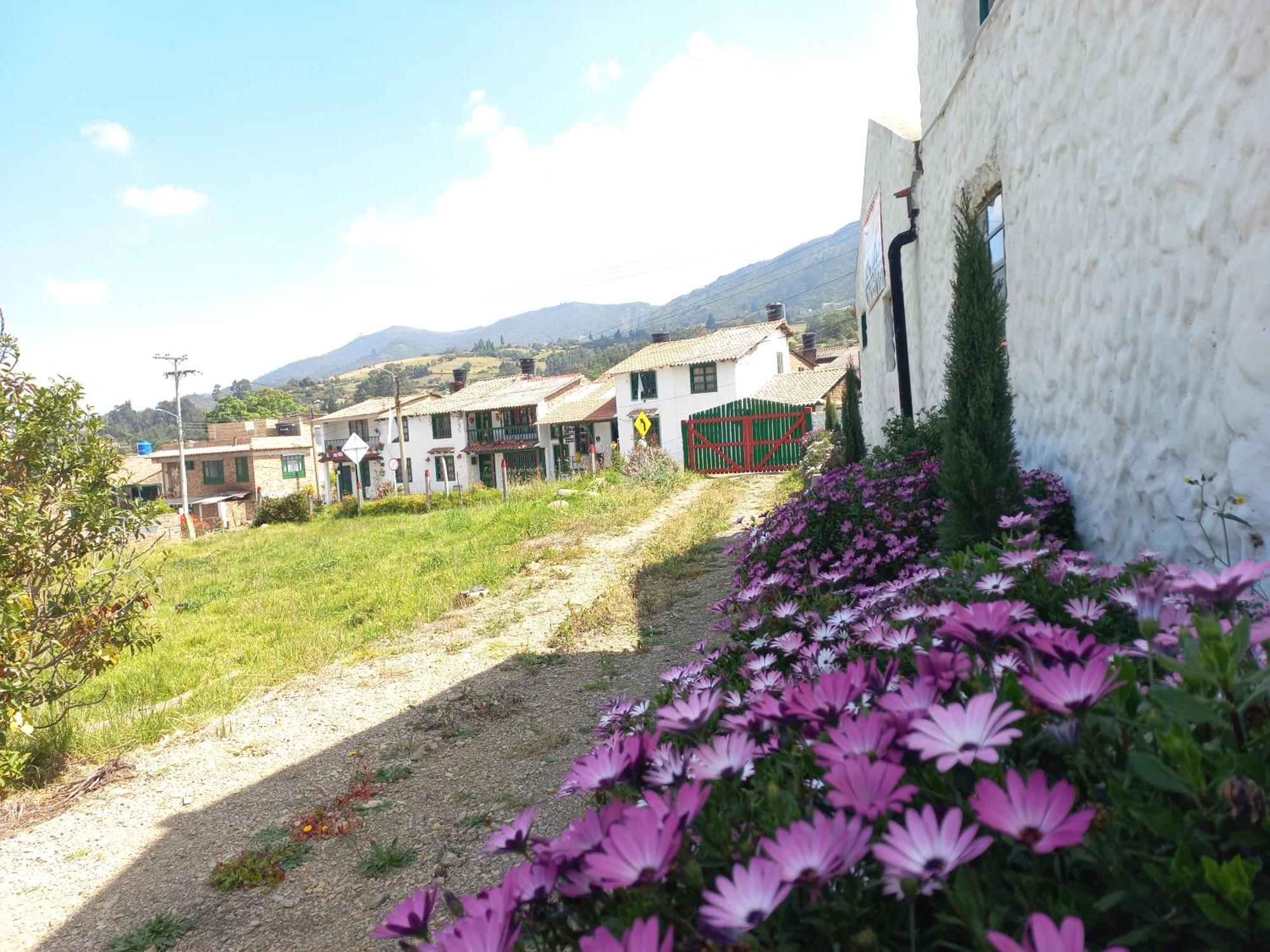 Hospedaje Y Camping Del Rio 몬구이 외부 사진