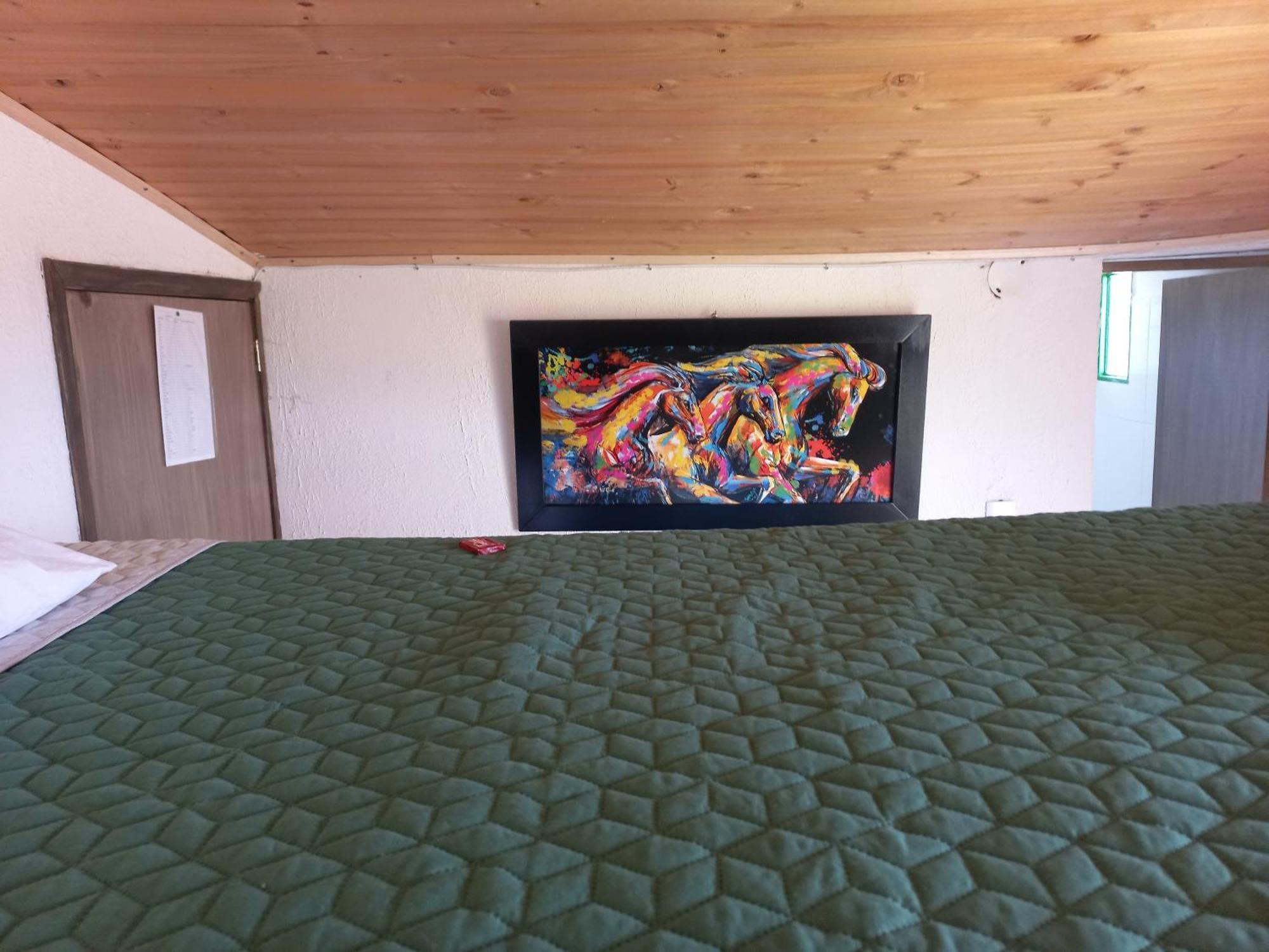 Hospedaje Y Camping Del Rio 몬구이 외부 사진