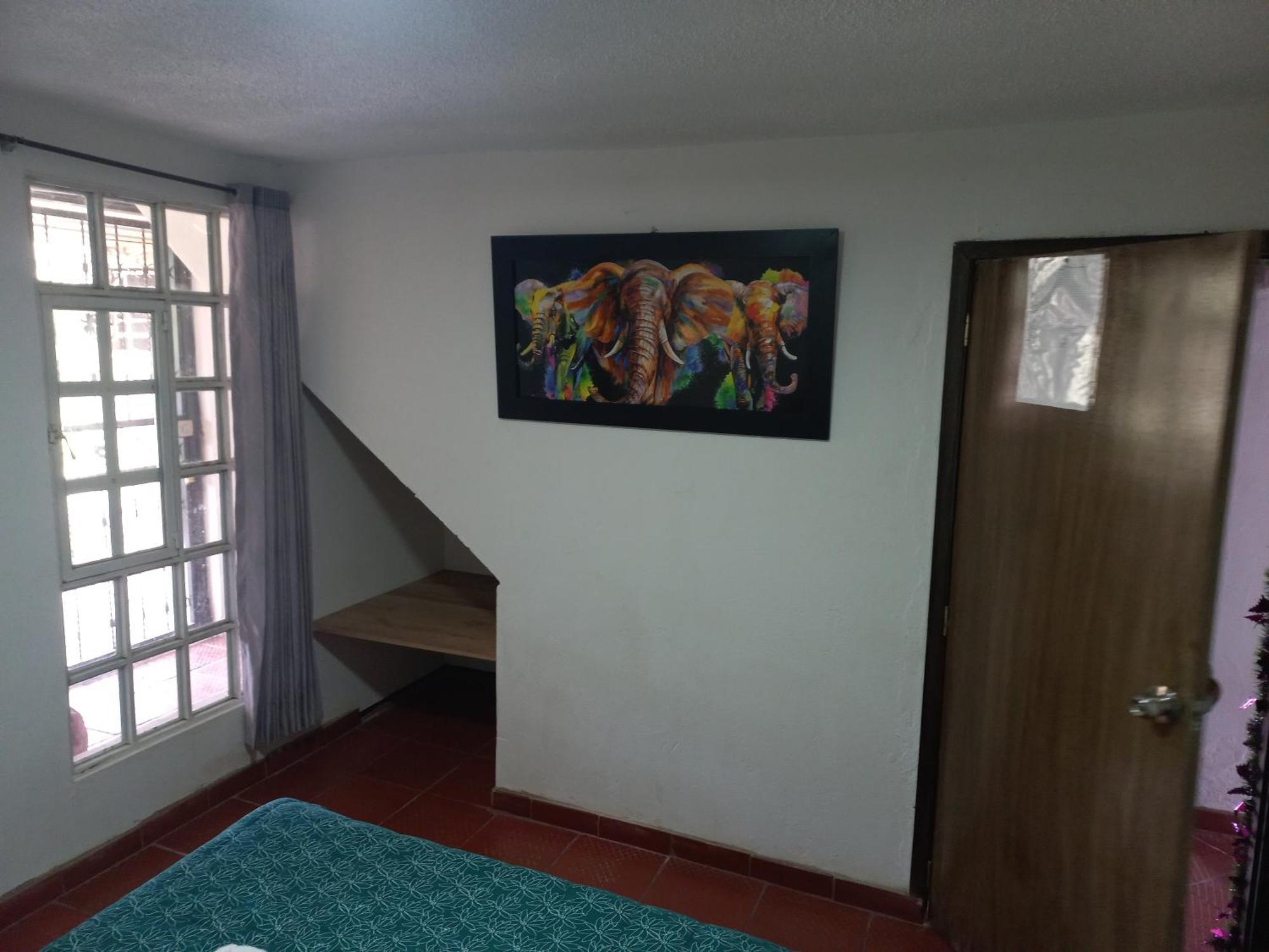 Hospedaje Y Camping Del Rio 몬구이 외부 사진