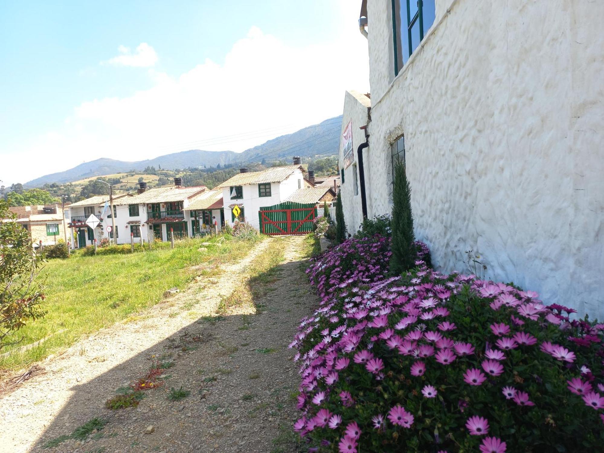 Hospedaje Y Camping Del Rio 몬구이 외부 사진