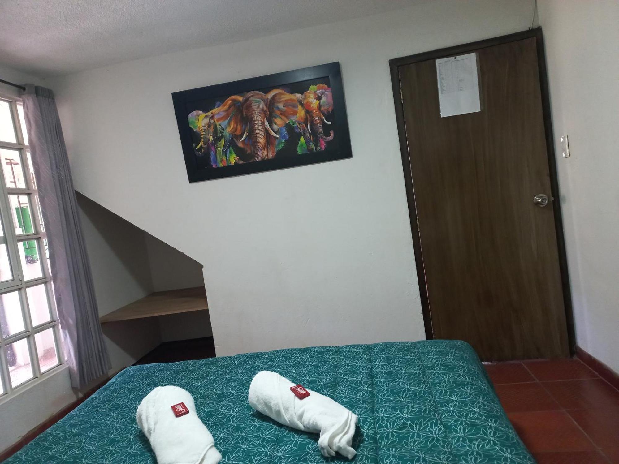 Hospedaje Y Camping Del Rio 몬구이 외부 사진