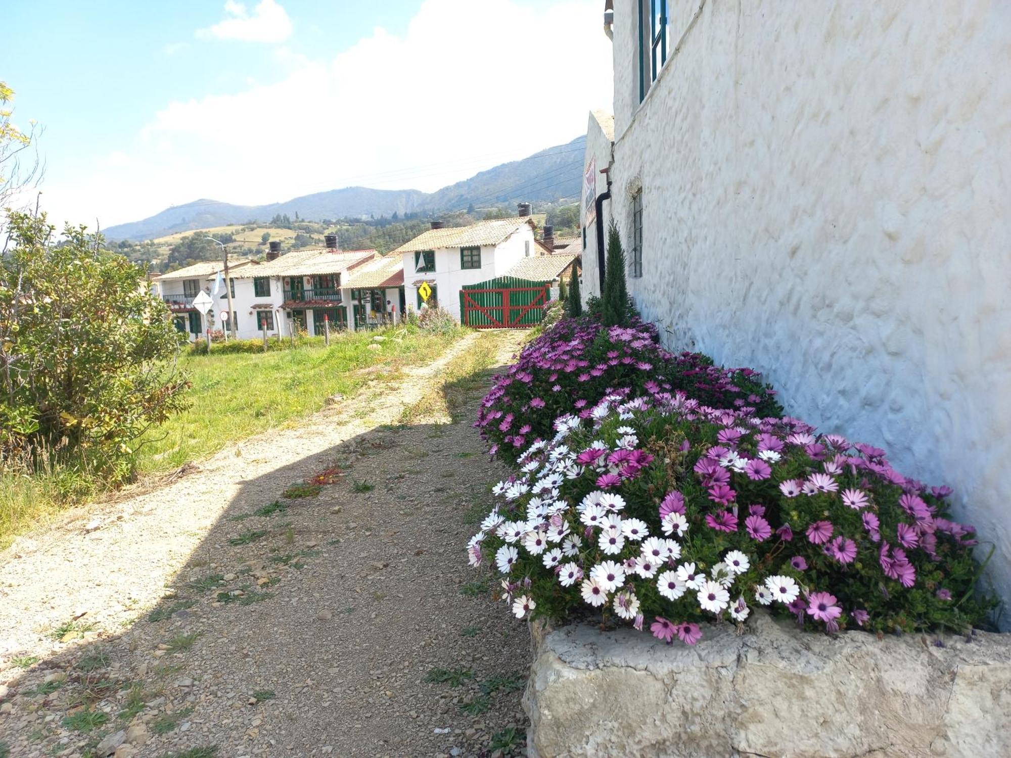 Hospedaje Y Camping Del Rio 몬구이 외부 사진